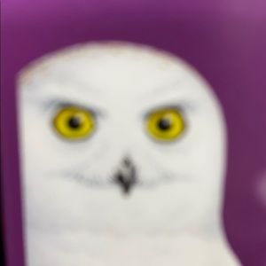 Meet your Posher, Freddie